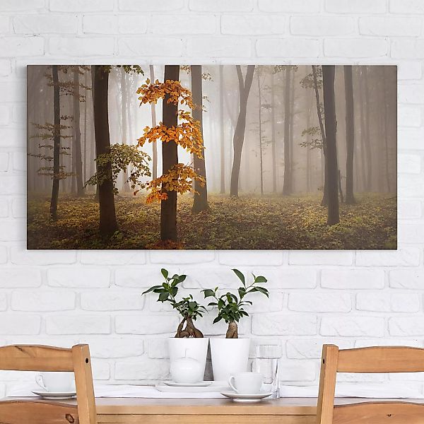 Leinwandbild - Querformat Novemberwald günstig online kaufen