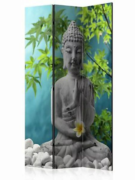 artgeist Paravent Meditating Buddha [Room Dividers] grün-kombi Gr. 135 x 17 günstig online kaufen