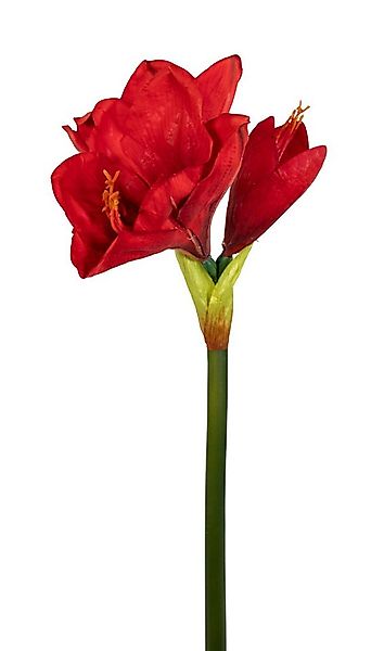Kunstblume Amaryllis Real Touch 68cm GA Dekoblumen künstliche Blumen Ritter günstig online kaufen