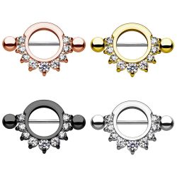 Taffstyle Intimpiercing Intim Brust Intimpiercing Schild günstig online kaufen