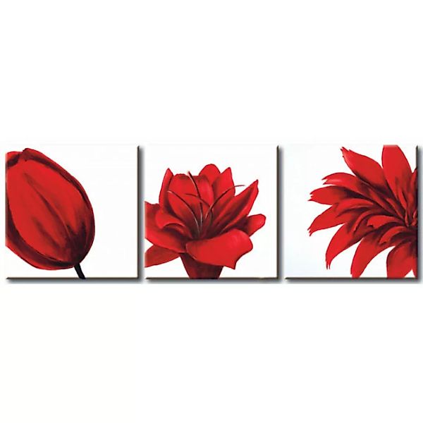 Wandbild Rote Blumen  XXL günstig online kaufen