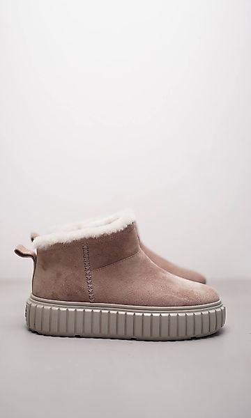 ZAP günstig online kaufen