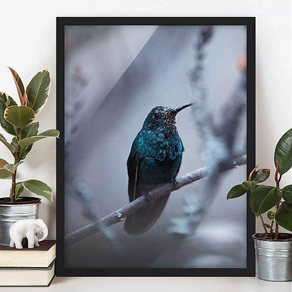Bild mit Rahmen Tiere - Hochformat Kolibri im Winter günstig online kaufen