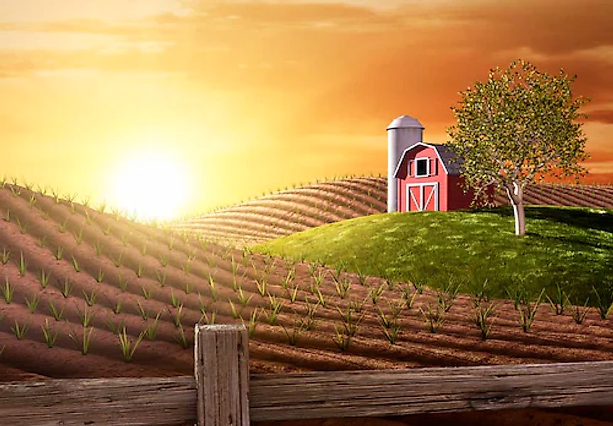 Papermoon Fototapete »Morning on the Farm« glatt günstig online kaufen