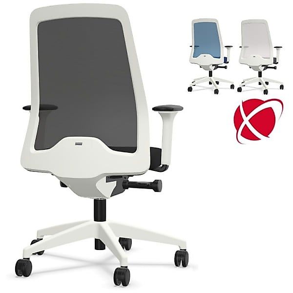 Interstuhl EVERYis1 EV261 FLEXTECH Bürostuhl weiß mit Netzrücken günstig online kaufen