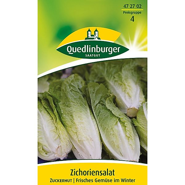 Quedlinburger Zichorien Salat ''Zuckerhut'' günstig online kaufen