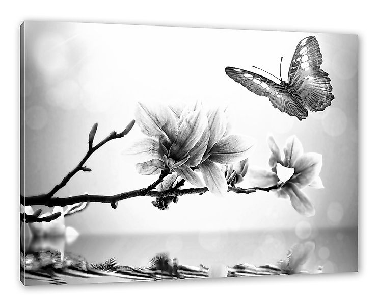 Pixxprint Leinwandbild Schmetterling mit Magnolien-Blüte, Schmetterling günstig online kaufen