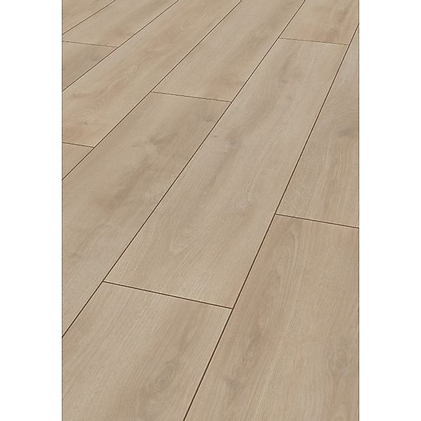Jangal Laminatboden Oak National Park Line Pro Silent günstig online kaufen