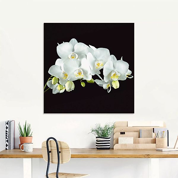 Artland Glasbild "Weiße Orchidee auf schwarzem Hintergrund", Blumen, (1 St. günstig online kaufen