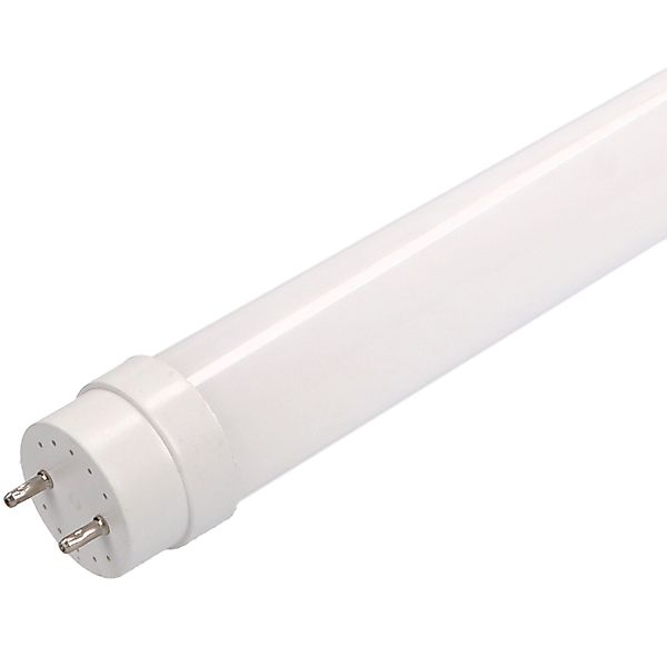 LED's light Basic LED-Leuchtmittel 0610728 LED-Röhre, günstig online kaufen