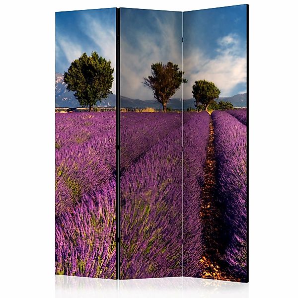 3-teiliges Paravent - Lavender Field In Provence, France [room Dividers] günstig online kaufen