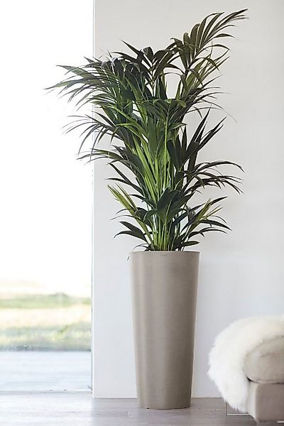 ECOPOTS Blumentopf Amsterdam, ØxH: 32x70 cm günstig online kaufen
