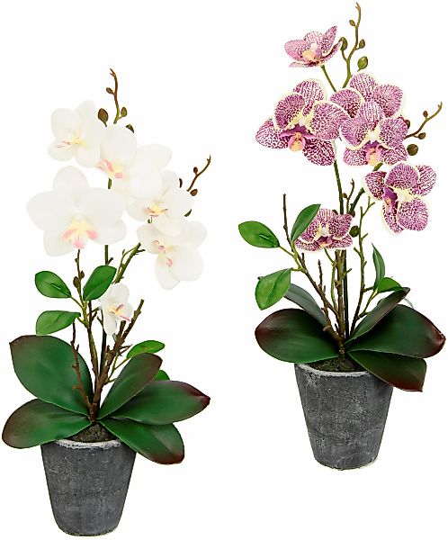I.GE.A. Kunstpflanze "Orchidee", Mit Blättern und Luftwurzeln, im Topf aus günstig online kaufen