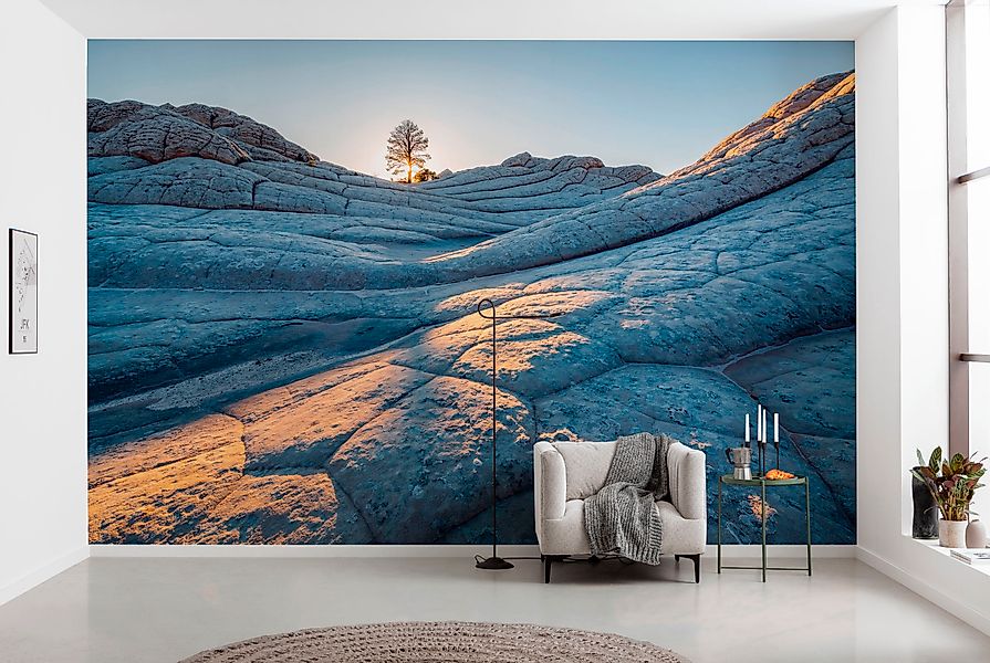 Komar Fototapete »Digitaldruck Vlies - Elephant Skin - Größe 400 x 250 cm« günstig online kaufen