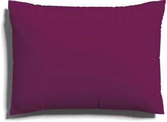 Schlafgut Kissenbezug EASY Jersey, (1 Stück), günstig online kaufen