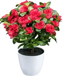 Kunstblume Azaleenbusch Azalee, Creativ green, Höhe günstig online kaufen