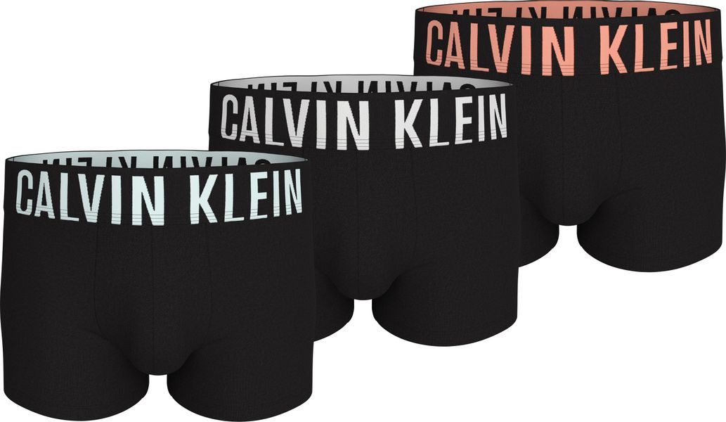 Calvin Klein Underwear Trunk TRUNK 3PK günstig online kaufen