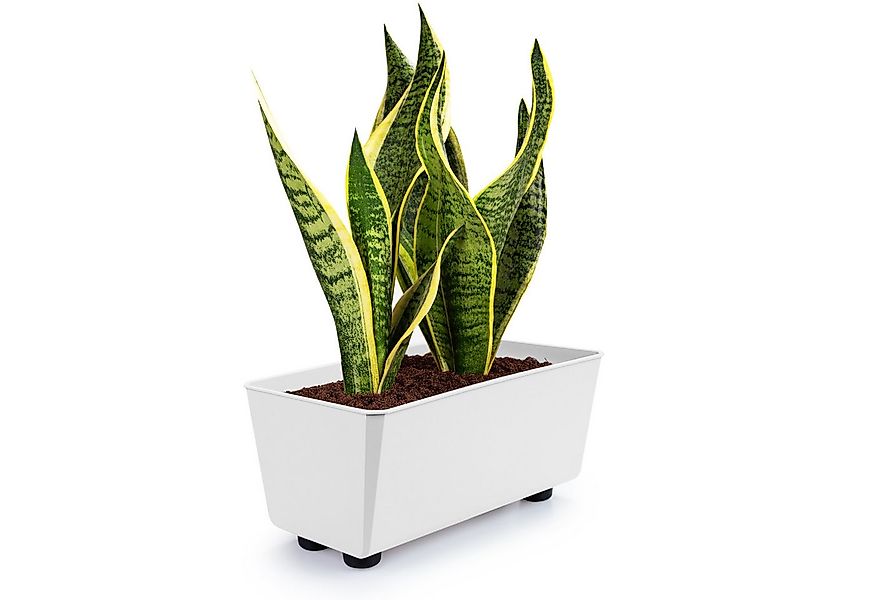 KONZEPT Blumenkasten Blumentöpfe mit Füßen, rechteckig – kleine Blumenkäste günstig online kaufen