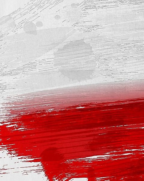 style3 T-Shirt Flagge Polen Fußball Sport Polska WM EM Fahne günstig online kaufen