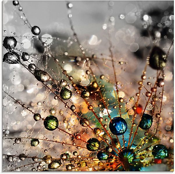 Artland Glasbild »Farbenfrohe Natur«, Blumen, (1 St.), in verschiedenen Grö günstig online kaufen