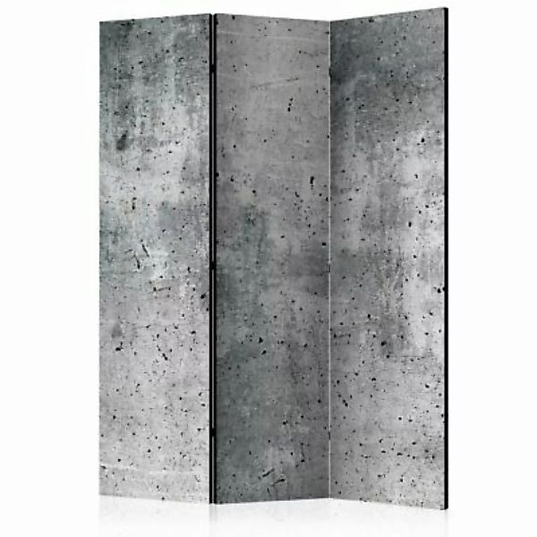 artgeist Paravent Fresh Concrete [Room Dividers] grau Gr. 135 x 172 günstig online kaufen