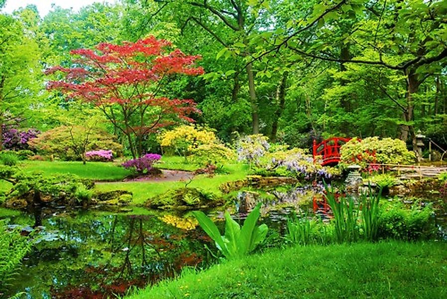 Papermoon Fototapete »GARTEN-BLUMEN BÄUME PFLANZEN STEINE WALD PARK BLÜTEN« günstig online kaufen