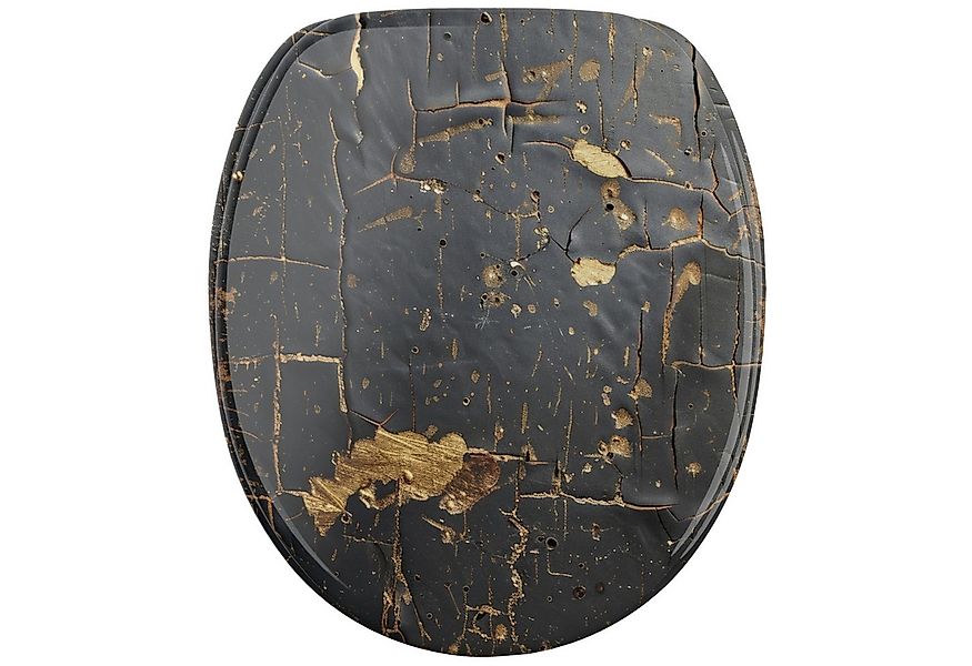 Sanilo WC-Sitz Shield, mit Absenkautomatik, hochwertig & modern, universell günstig online kaufen