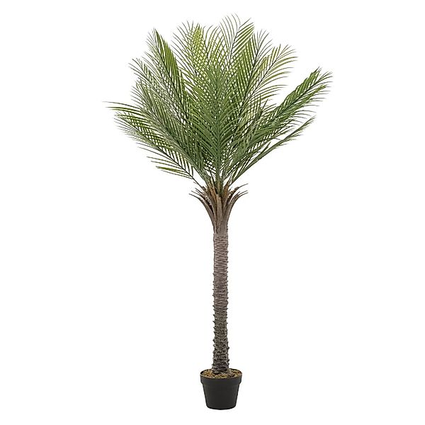 ML-Design Künstliche Palme 150 cm Groß im Topf für Indoor/Outdoor günstig online kaufen