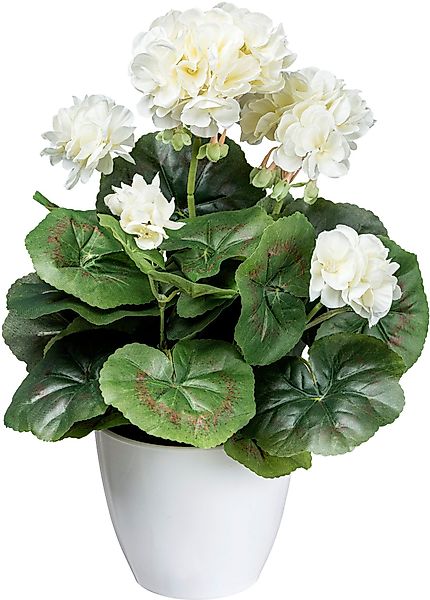 Kunstblume Geranienbusch Mohn, Creativ green, Höhe günstig online kaufen