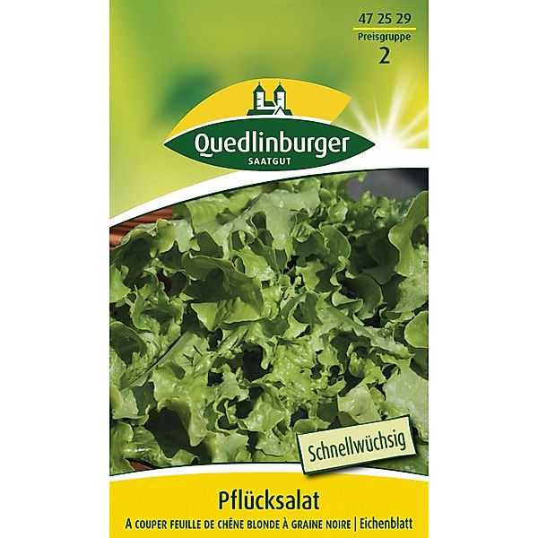 Quedlinburger Pflück Salat ''A couper feuille de chene blonde a graine noir günstig online kaufen