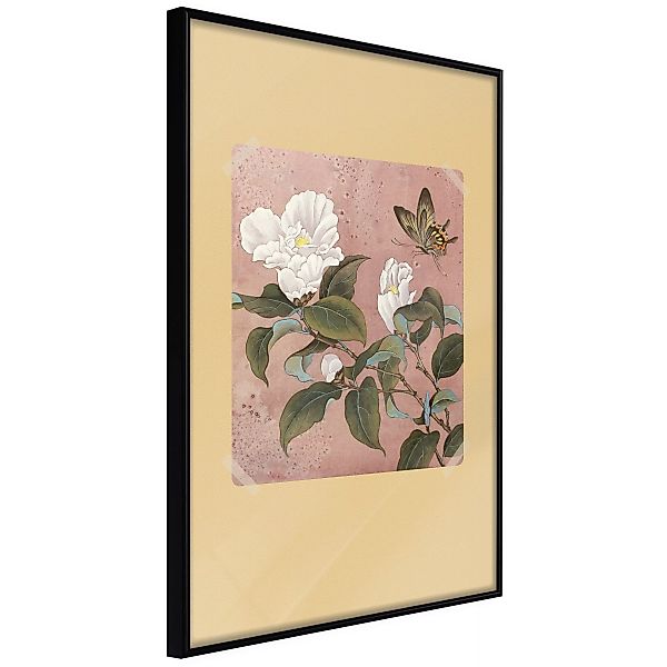 Poster - Rhododendron And Butterfly günstig online kaufen