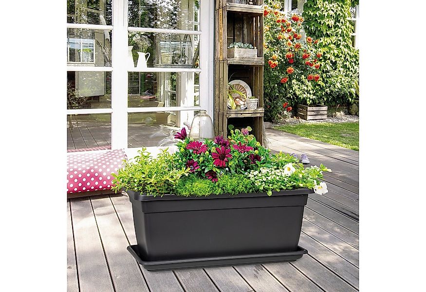 Scheurich Pflanzkübel für ideale Pflege ohne Staunässe, mit Wasserreservoir günstig online kaufen