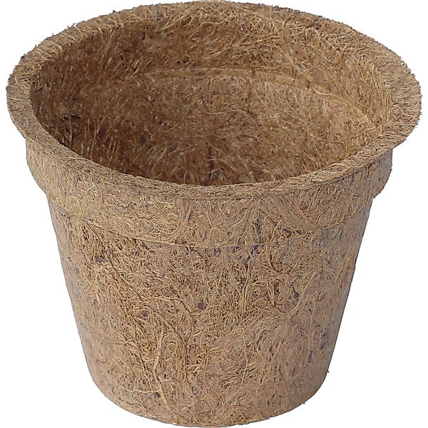 Proflora Kokosfaser Anzucht-Pflanztopf 0,30, (100 Töpfe) günstig online kaufen