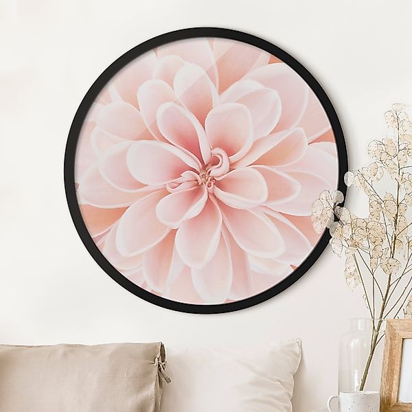 Rundes Bild mit Rahmen Dahlie in Pastellrosa günstig online kaufen