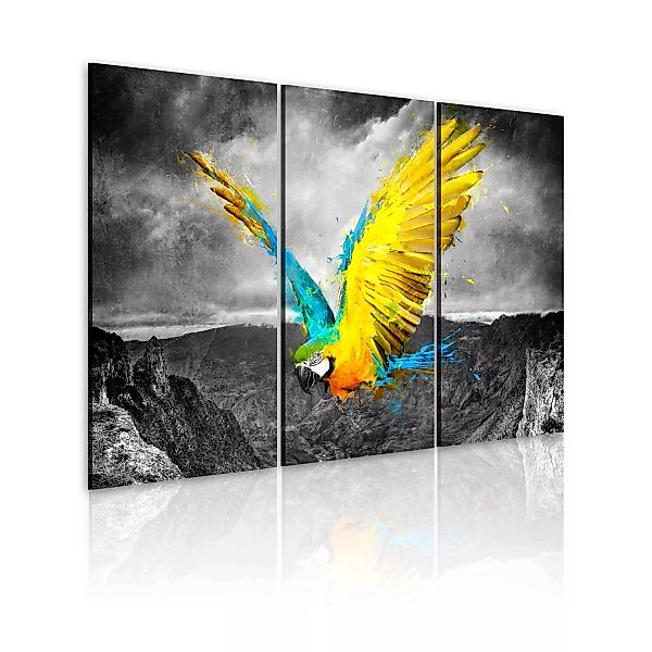 Wandbild - Paradiesvogel - Triptychon günstig online kaufen