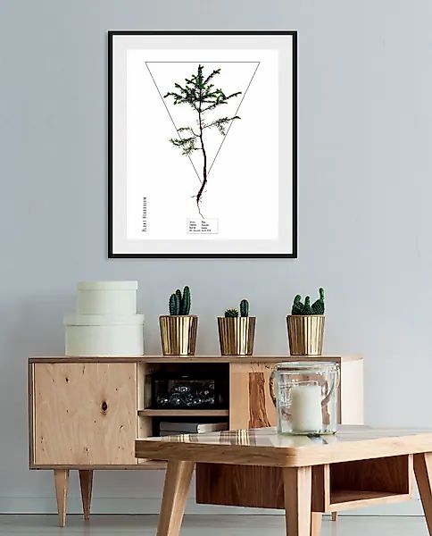 queence Bild »Abies« 1 Stk. tlg. günstig online kaufen