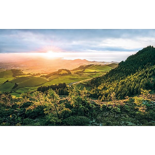 Komar Fototapete Vlies Paradise Island  400 x 250 cm günstig online kaufen