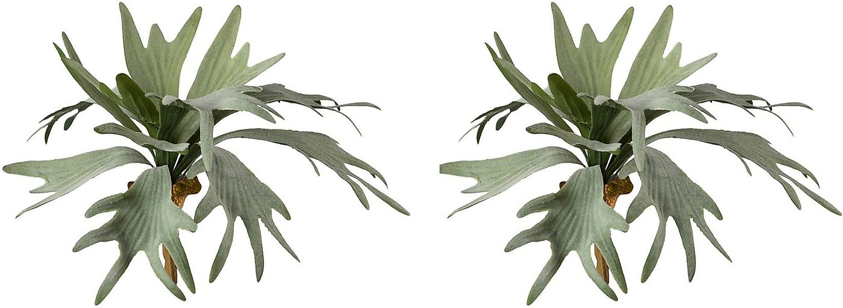 Kunstzweig Geweihfarn Farn, Creativ green, Höhe 35 cm günstig online kaufen