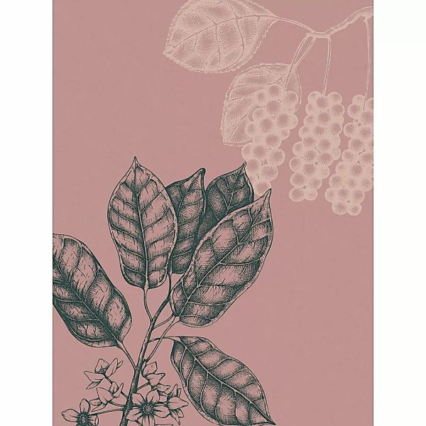 Komar Wandbild Wild Berry Pflanzen B/L: ca. 30x40 cm günstig online kaufen