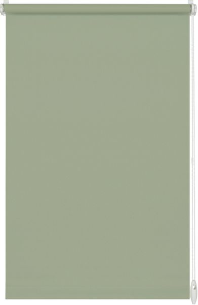 Seitenzugrollo EASYFIX Rollo Uni, GARDINIA, Lichtschutz, günstig online kaufen