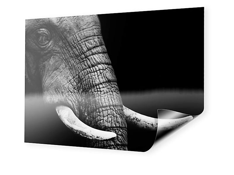 Foto auf Backlit-Folie im Format 90 x 60 cm im Format 90 x 60 cm günstig online kaufen