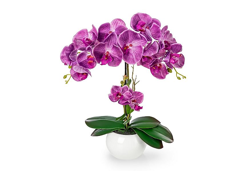 Kunstorchidee PASCH® Orchidee künstlich wie echt (40cm) in Hochglanz-Kerami günstig online kaufen