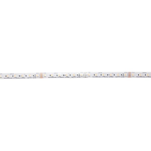 DOTLUX LED-Streifen 96W 14mm RGBW IP66 5m-Rolle inkl. 50cm Anschlusskabel b günstig online kaufen