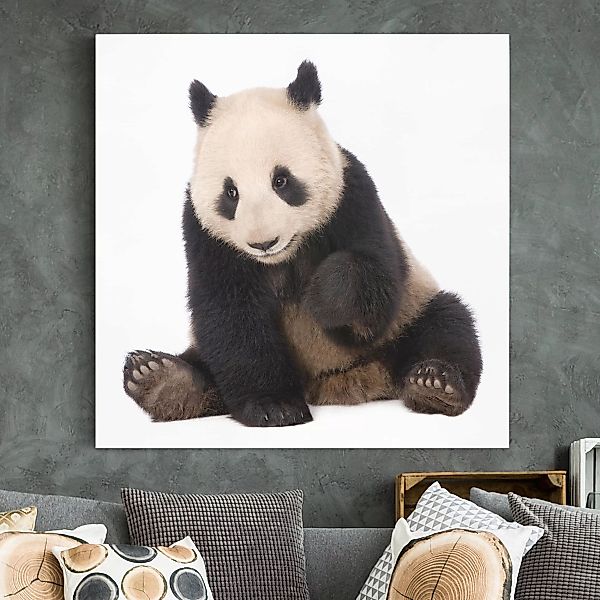 Leinwandbild Tiere - Quadrat Panda Tatzen günstig online kaufen