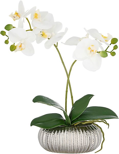 Kunstorchidee Orchidee Phalaenopsis, Creativ green, Höhe günstig online kaufen