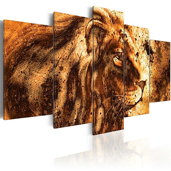 Wandbild - Beautiful Lion günstig online kaufen