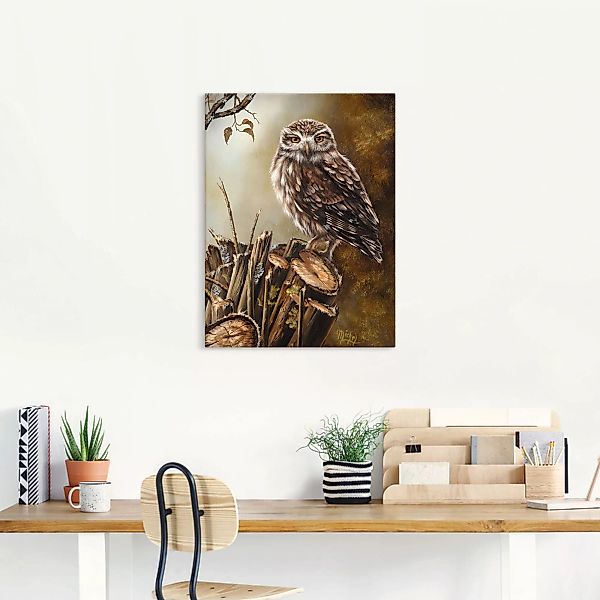Artland Wandbild "Eule", Vögel, (1 St.) günstig online kaufen