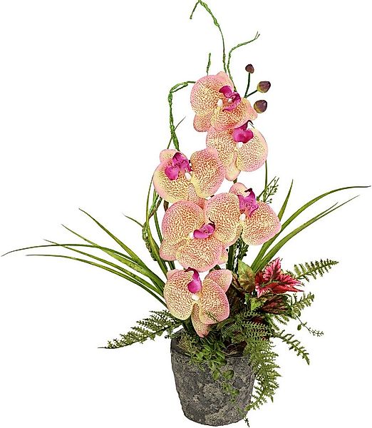 Kunstpflanze Orchidee, I.GE.A., Höhe 46 cm günstig online kaufen