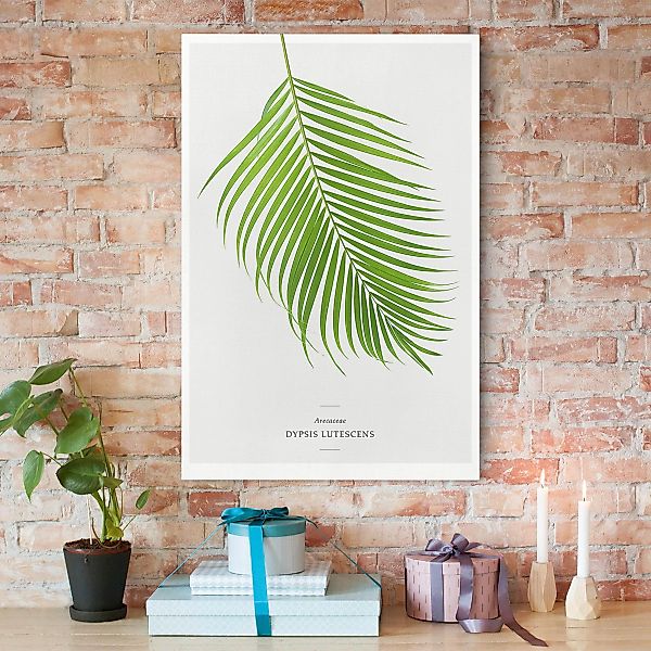 Leinwandbild Küche - Hochformat Tropisches Blatt Areca Palme günstig online kaufen