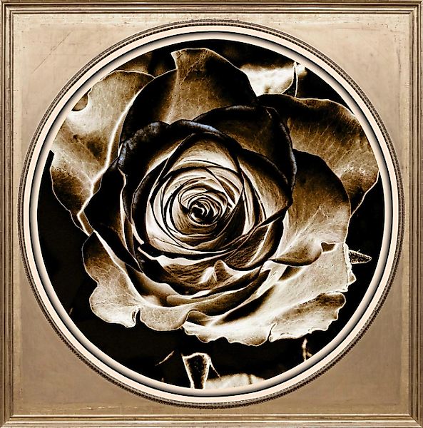 queence Acrylglasbild »Rose Sepia«, Blumen-Blumenbilder-Kunst-Pflanzen-Pfla günstig online kaufen